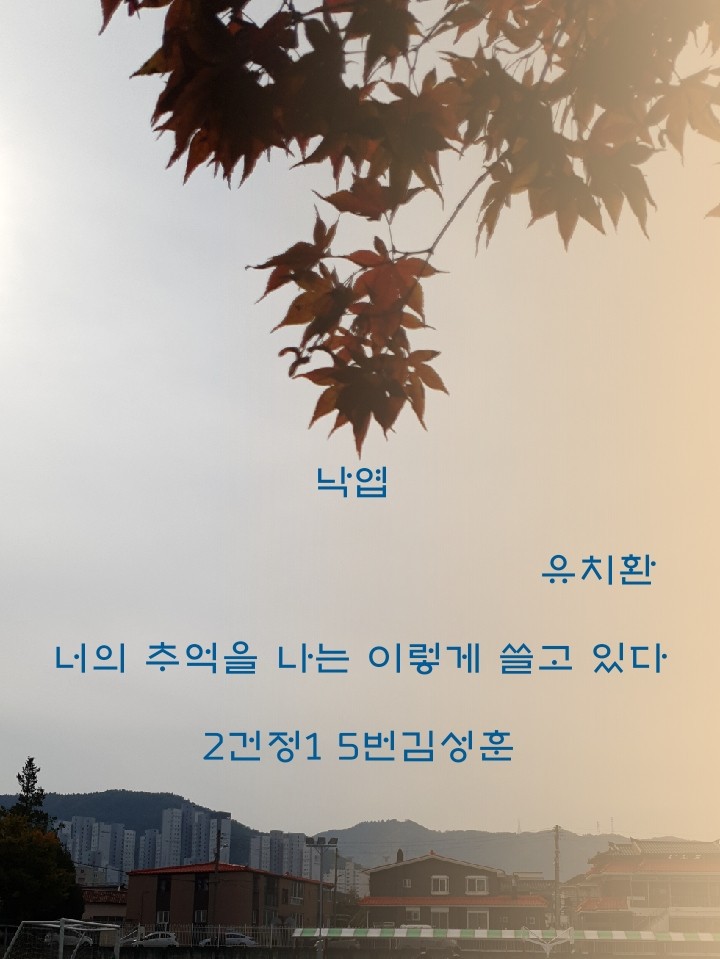 15 2건정1 김성훈