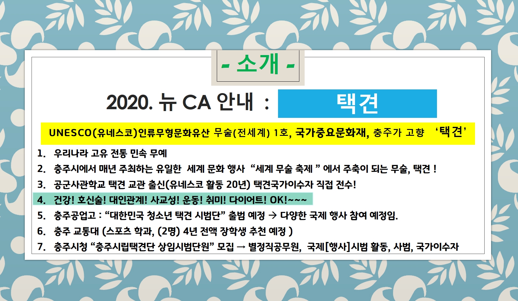 2020.뉴 CA 안내-택견